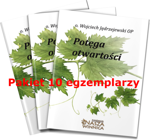 potega-otwartosci3 Pakiet 10 egz.png
