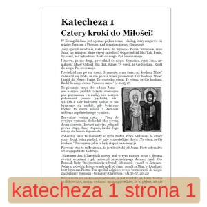 Szkoła życia z Bogiem. Przygotowanie do bierzmowania 04 - materiały dla kandydatów - katecheza 1 strona 1.jpg